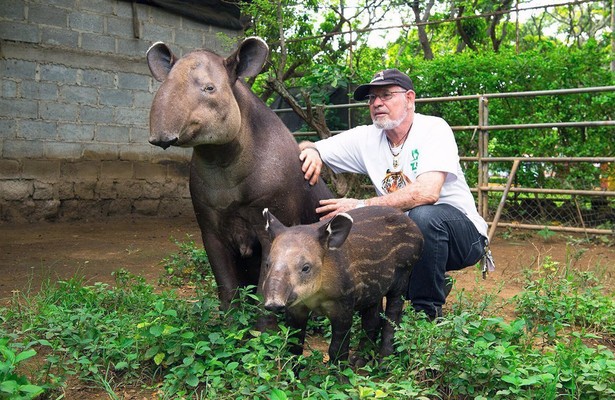 Geo Reportage: Tapire - Die Dschungel-Gärtner