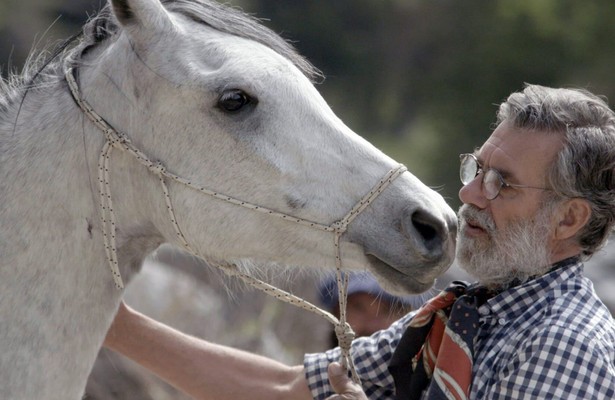 360° Reportage: Argentinien, von wilden Pferden und sanfter Hand