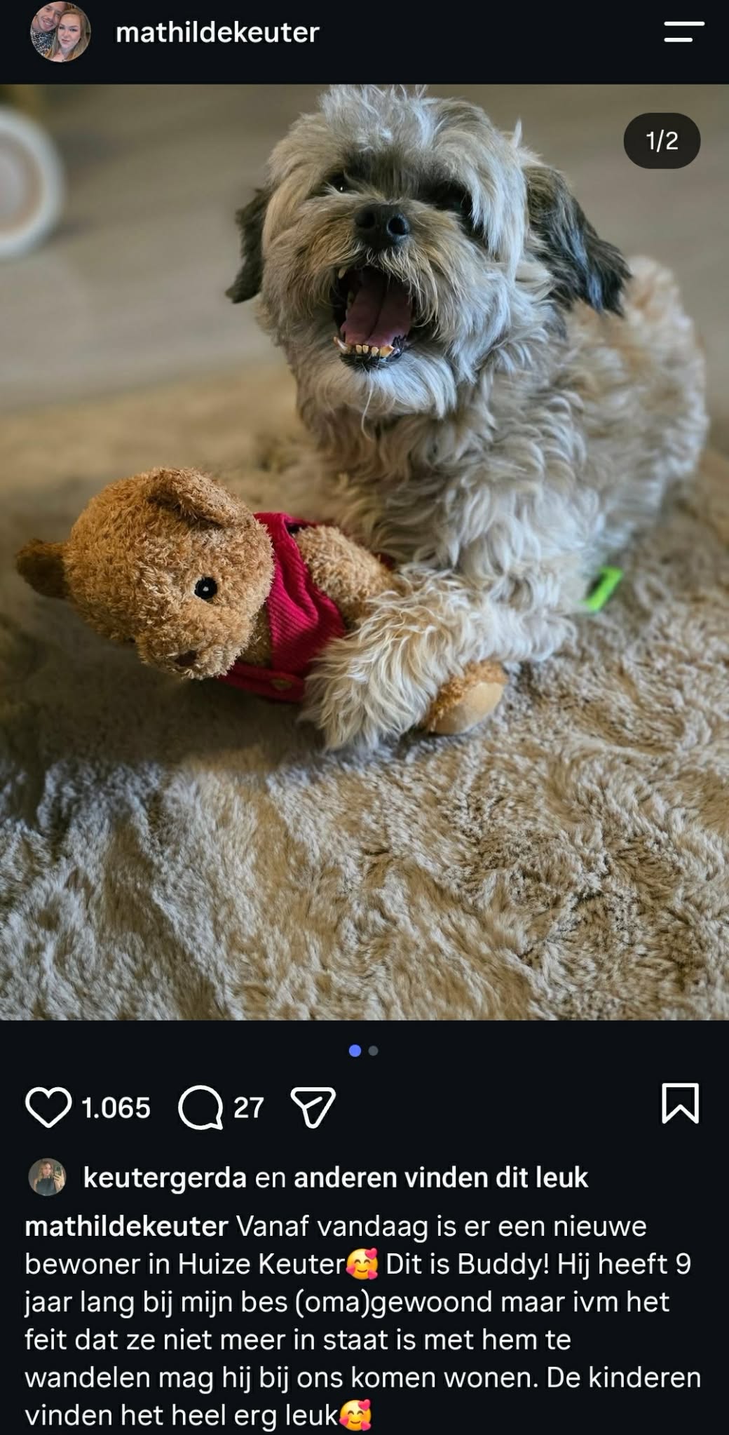 Buddy lijkt zich al thuis te voelen