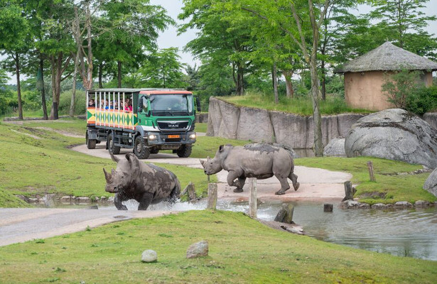 90 jaar Zoo in Emmen