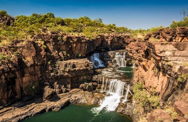 A Wild Year on Earth