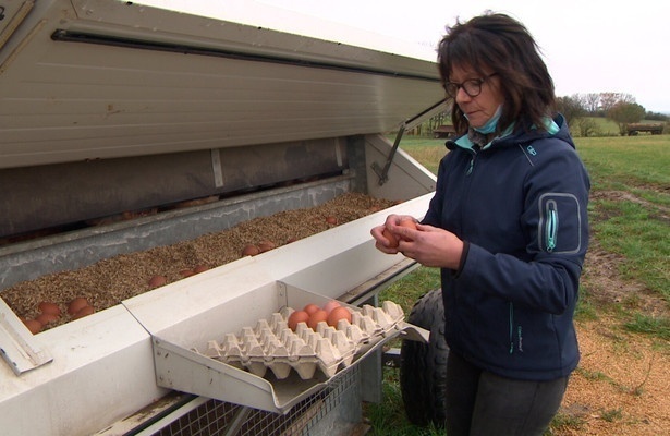 Ackern als Familie - Hoferben in Mecklenburg-Vorpommern