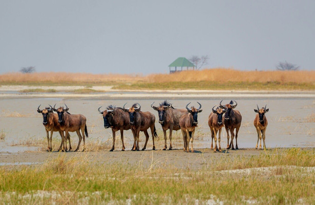 Africa's Ghost River