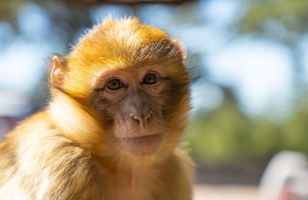 Africa's Hidden Wonders