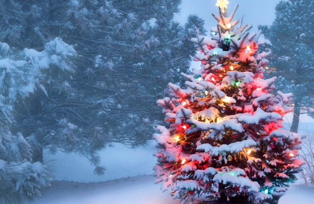 Alle Jahre wieder: Lichterglanz und Sternenstaub