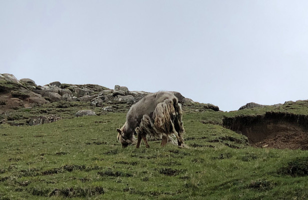 Allein im Meer - Leben auf den Färöern