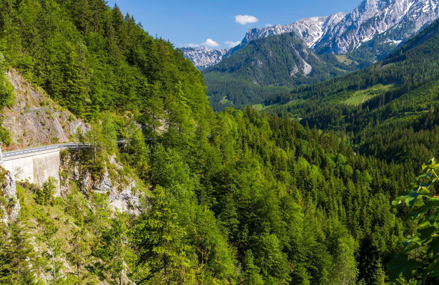 America's Wild Spaces