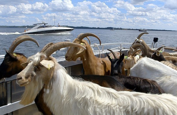 An der Lübecker Bucht - Strandleben und viel dahinter