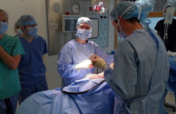 Animal ER