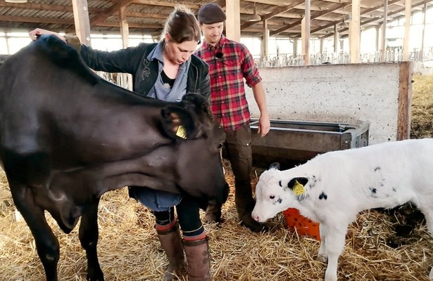 Anna und die Edelrinder - Eine Züchterin geht ihren Weg