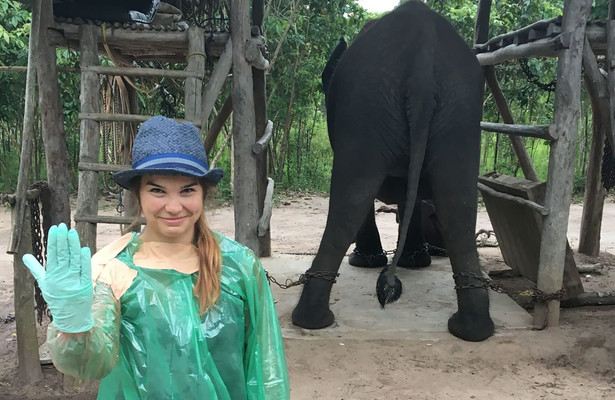 Anna und die wilden Tiere