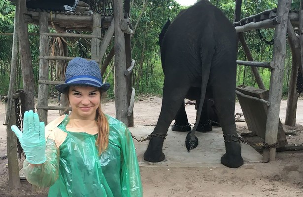 Anna und die wilden Tiere