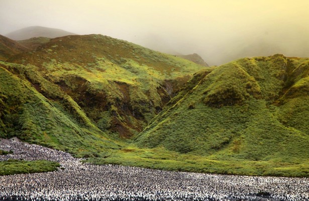 Antarktika - Die gefrorene Zeit