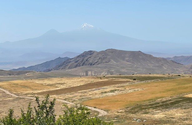 Armenien: Die Rückkehr des Leoparden