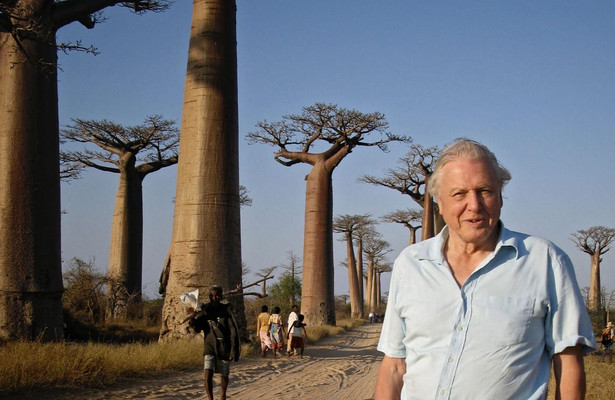 Attenborough and the giant egg