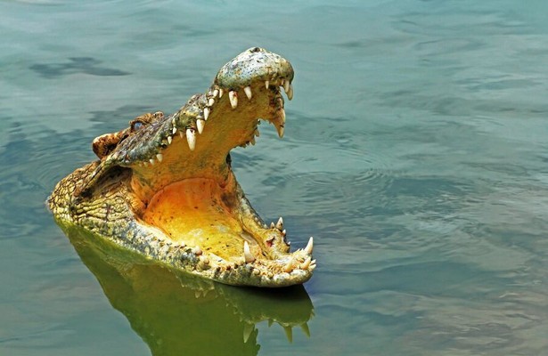 Australia's Land of the Ancients