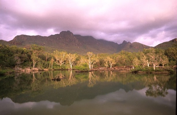 Australia's Wild Woodlands
