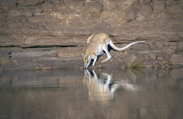 Australiens wilder Westen