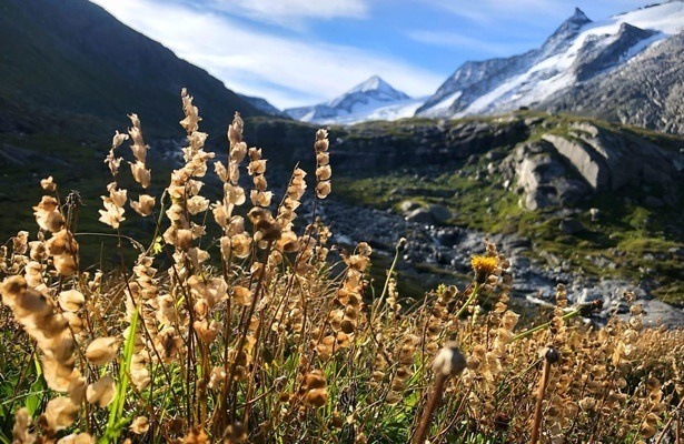 Austria's Wild Heritage - One Country Six National Parks