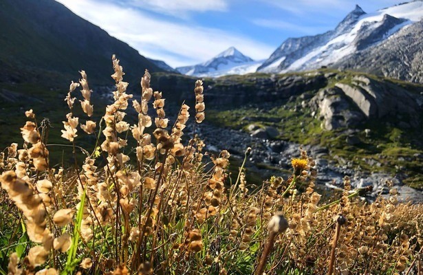 Austria's Wild Heritage - One Country Six National Parks