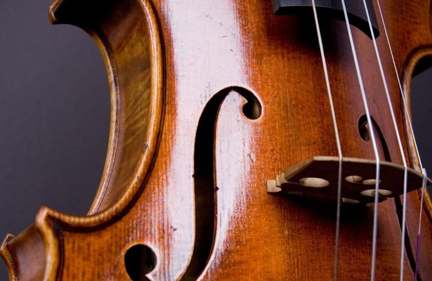 AvroTros Zondagochtendconcert