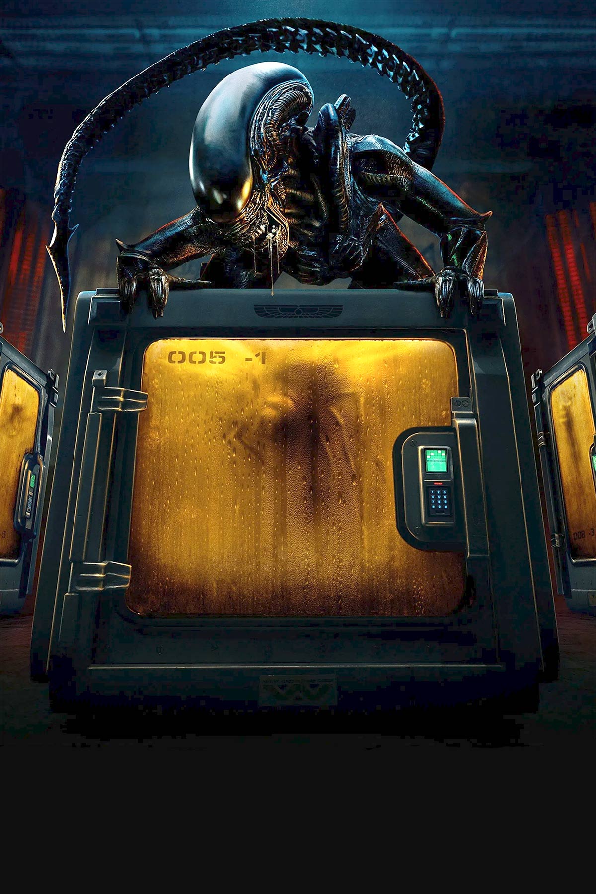 Article header image