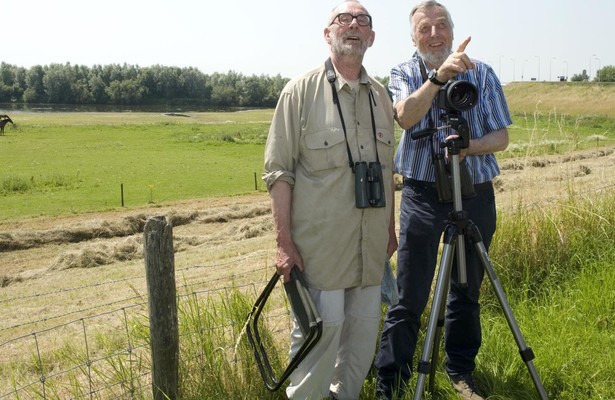 Baardmannetjes