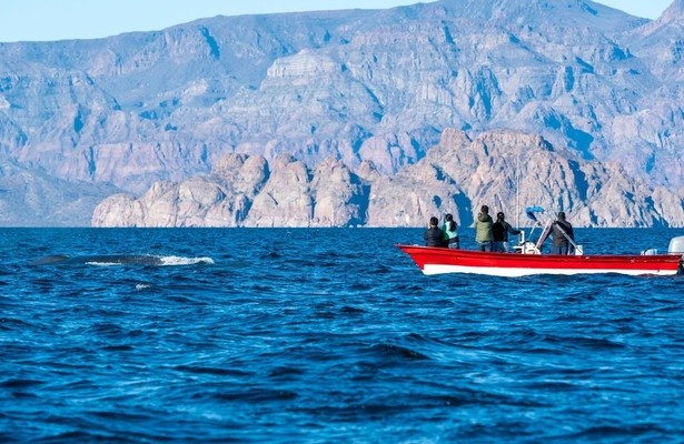 Baja California Sur