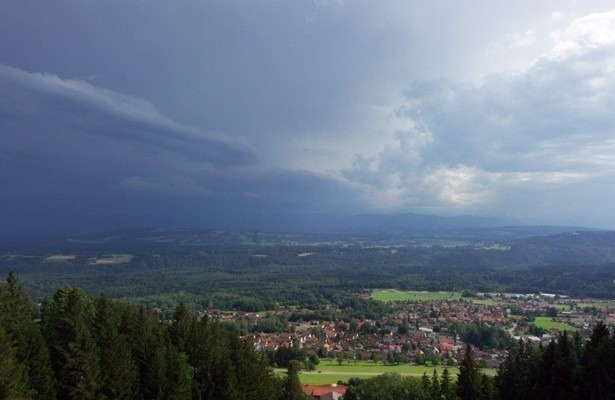 Bayerische Naturgeschichten