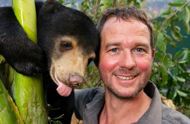 Bears About the House