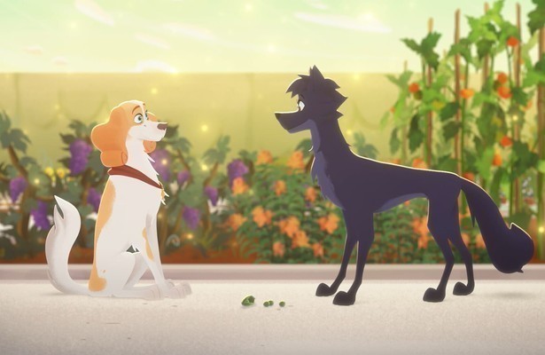 Belfort & Lupin