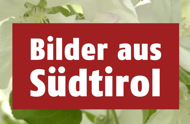 Bilder aus Südtirol