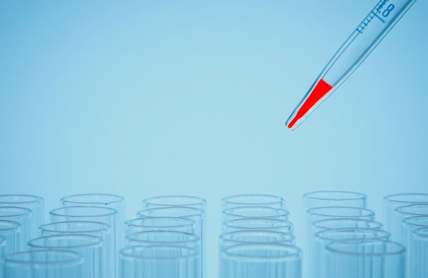 Bloodline Detectives