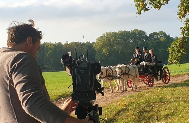 Bock auf Kutschbock