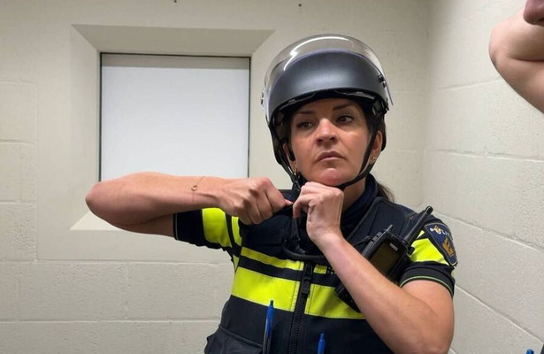 Brabantse Blauwe