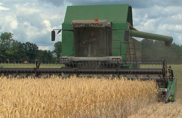 Brotzeit im Norden - Von Bäckern mit Laib und Seele