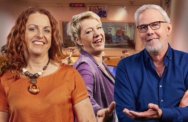 Buro de Vries op TV