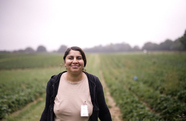 Bus der Hoffnung: Unterwegs mit rumänischen Wanderarbeitern