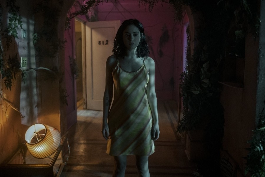 Brand new cherry flavor