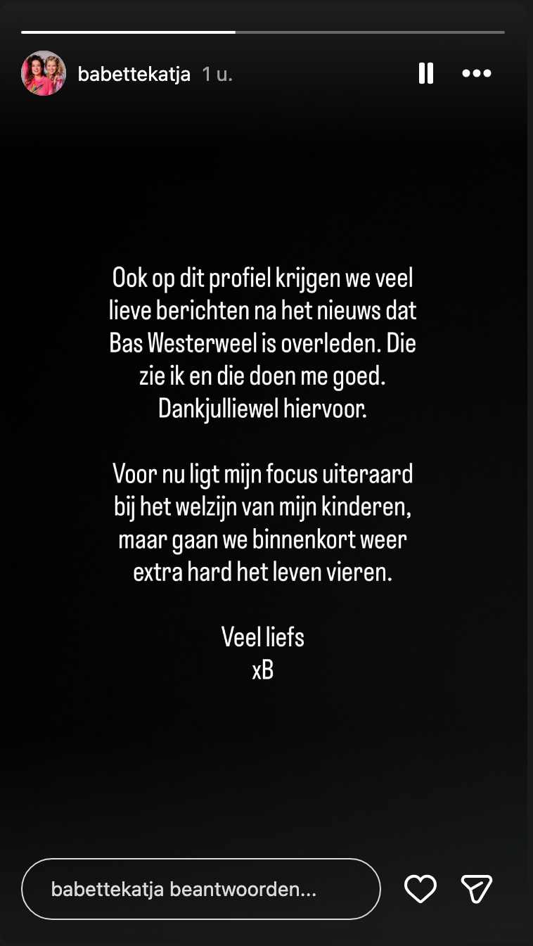 Bericht Babette van Veen