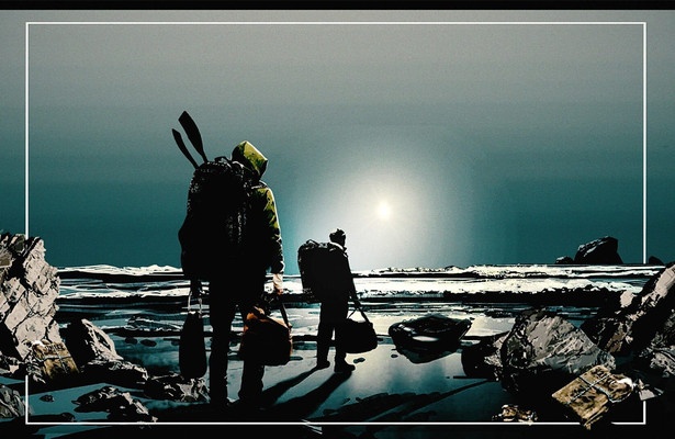 Cannabis cove: Operation Seal Bay