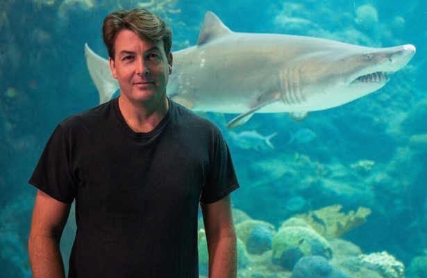 Cannibal sharks