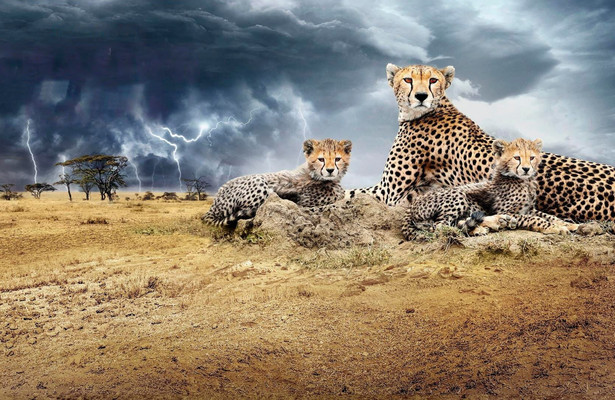 Chasing the rains