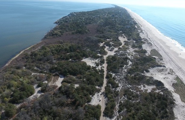 Cherry Grove Stories