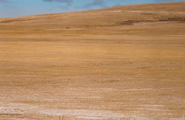 China's wild empire