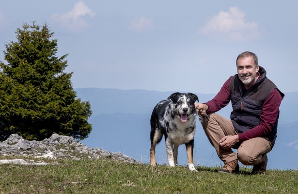 Chroniques d'en haut