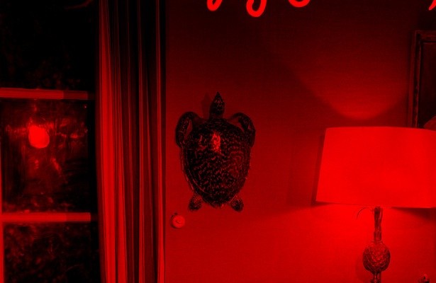 Claude Chabrols Komplizin: Stéphane Audran