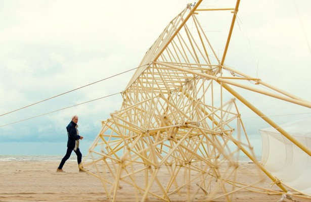 Close up