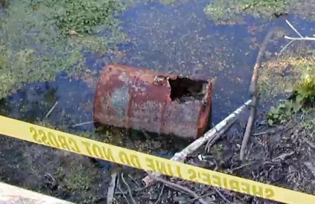 Cold Case Files: Murder in the Bayou