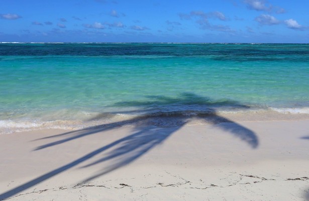 Colors: Capturing America and the Caribbean